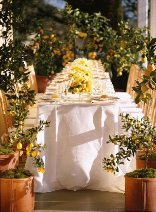 spring-yellow-wedding-ideas37