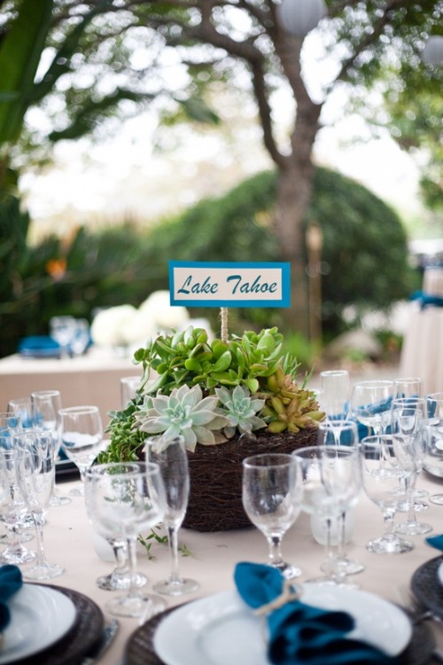 succulent-centerpieces-for-your-recepton-table