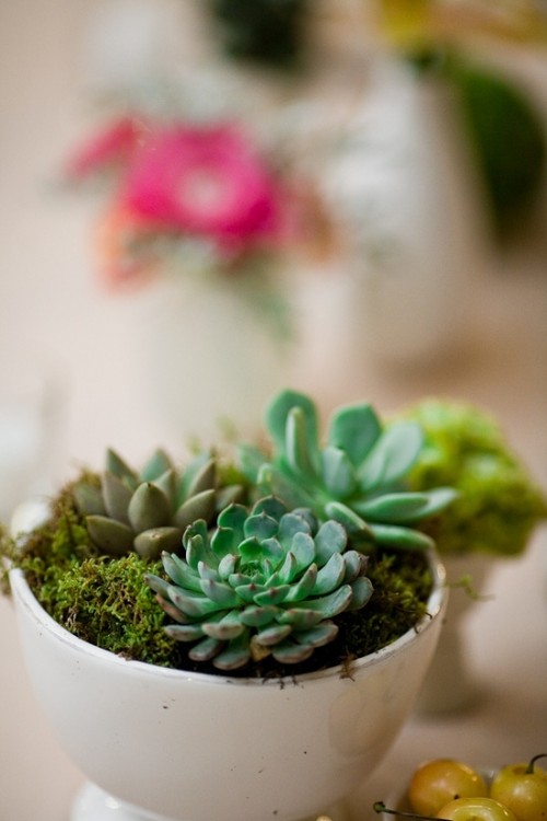 succulent-centerpieces-for-your-recepton-table