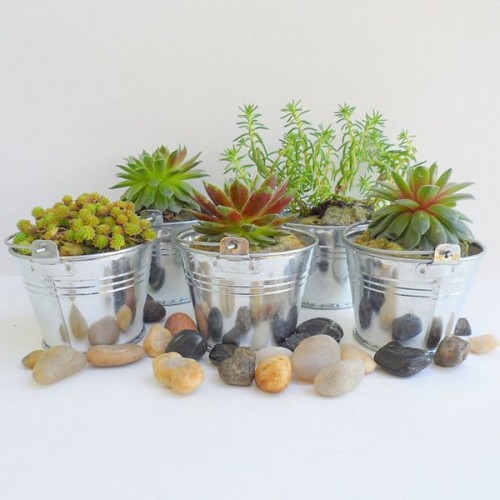 succulent-centerpieces-for-your-recepton-table
