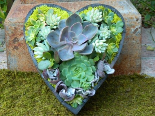 succulent-centerpieces-for-your-recepton-table