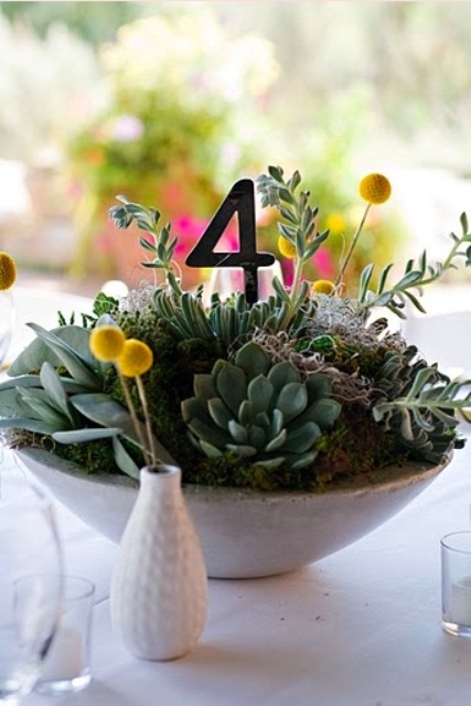 succulent-centerpieces-for-your-recepton-table