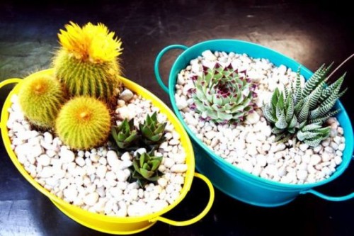 succulent-centerpieces-for-your-recepton-table