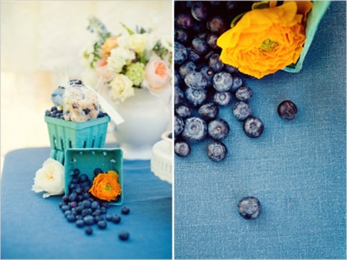 vintage-blueberry-wedding-inspiration
