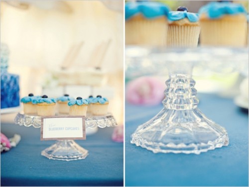 vintage-blueberry-wedding-inspiration