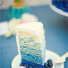 vintage-blueberry-wedding-inspiration-15