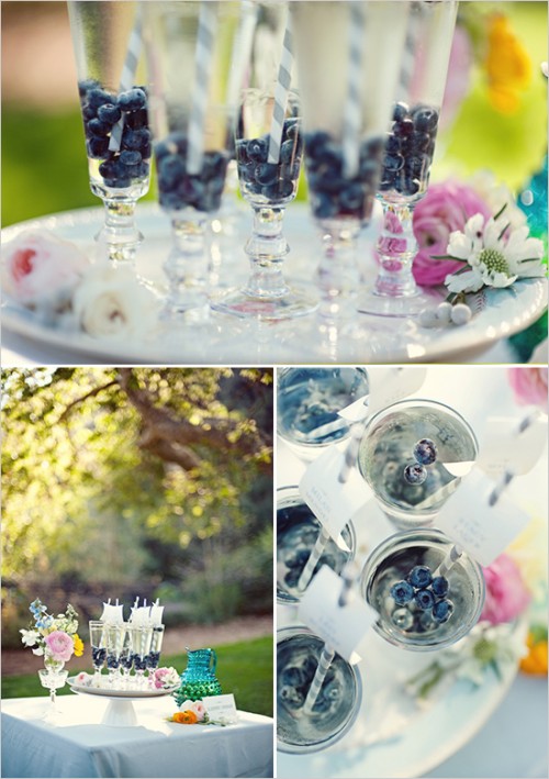 vintage-blueberry-wedding-inspiration