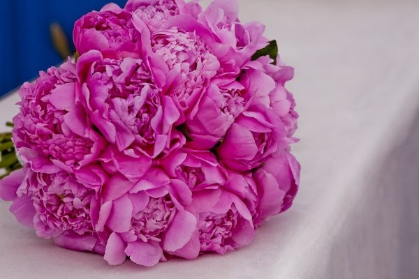 vivienne-and-wylies-intimate-destination-wedding-in-greece