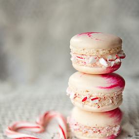 peppermint-macarons-a-step-by-step-tutorial-12