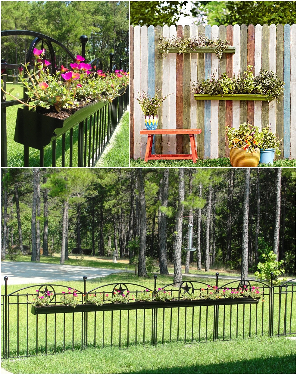 10 ideas for a fence with flowers-02