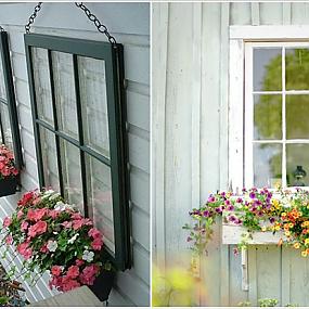 10 ideas for a fence with flowers-03