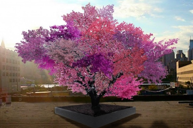 Красивая цветовая гамма дерева