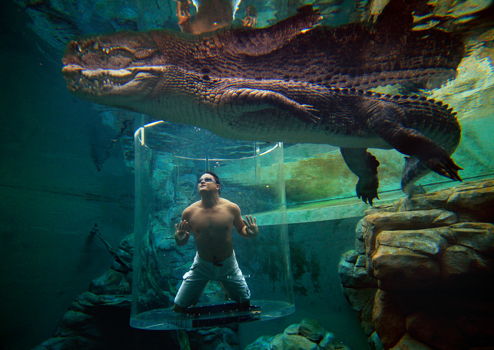 Crocosaurus Cove приглашает искателей острых ощущений и авантюристов