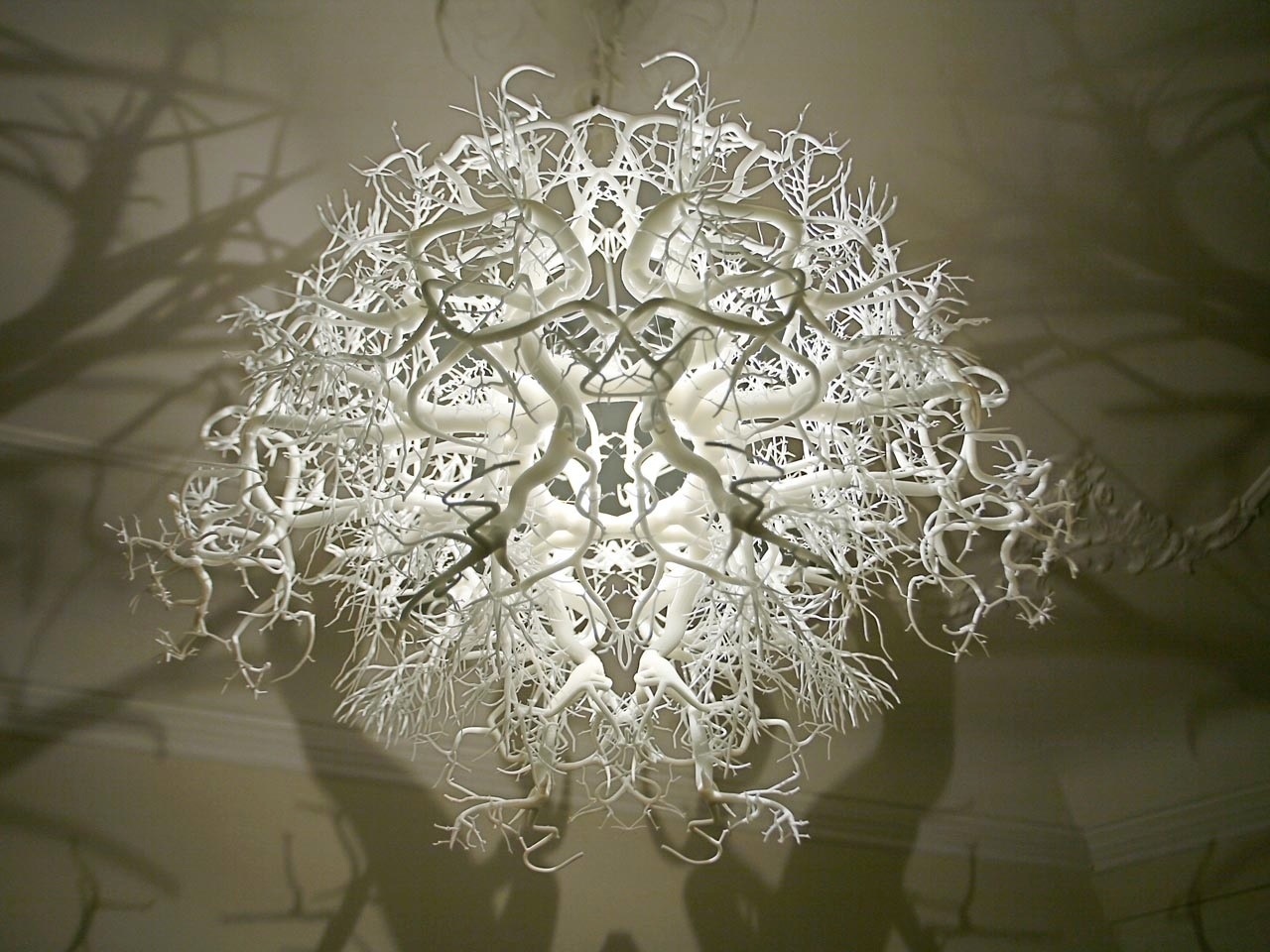 chic chandelier casting a shadow trees-02