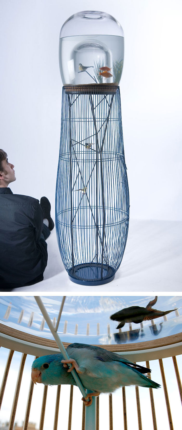 creative gift ideas for bird lovers-13