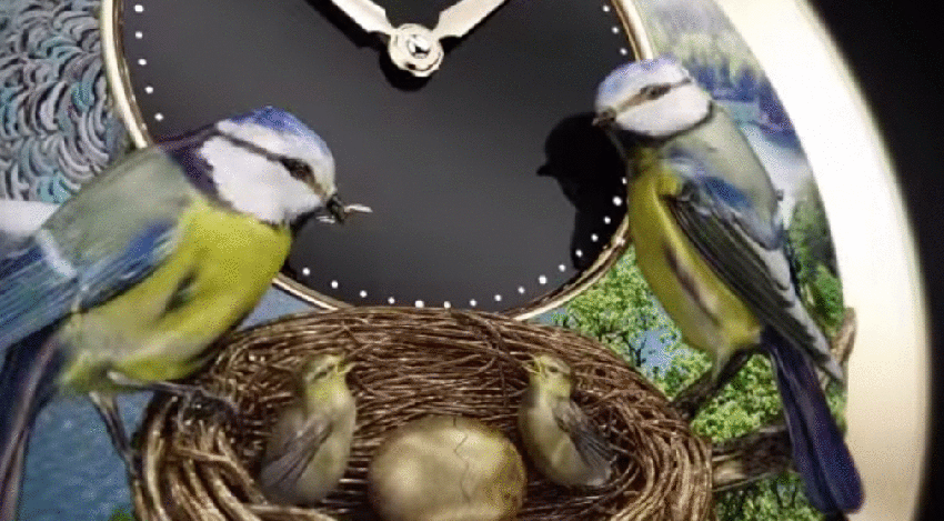 creative gift ideas for birds lovers-20