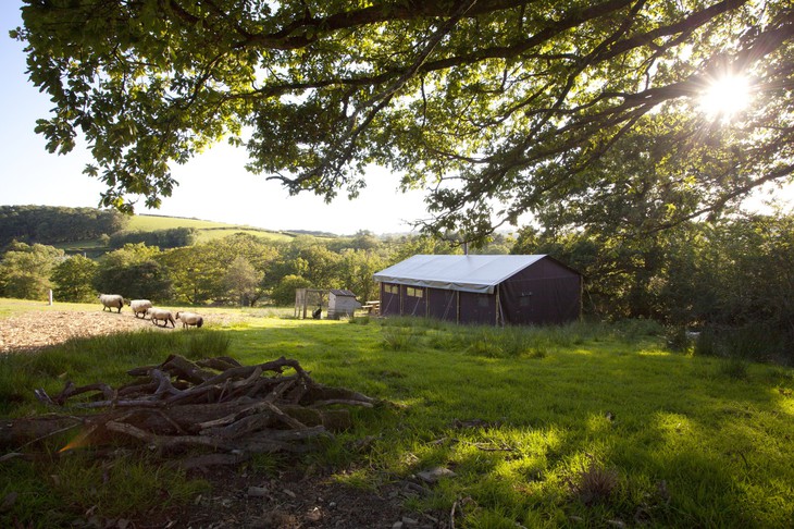 farm in the manor of alton-02