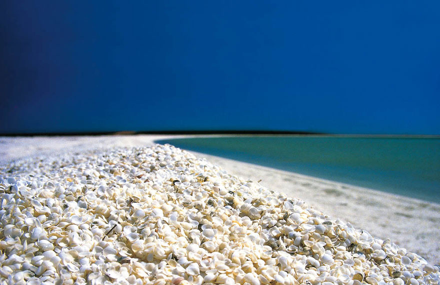 Шелл-бич, ракушечный песок, Австралия