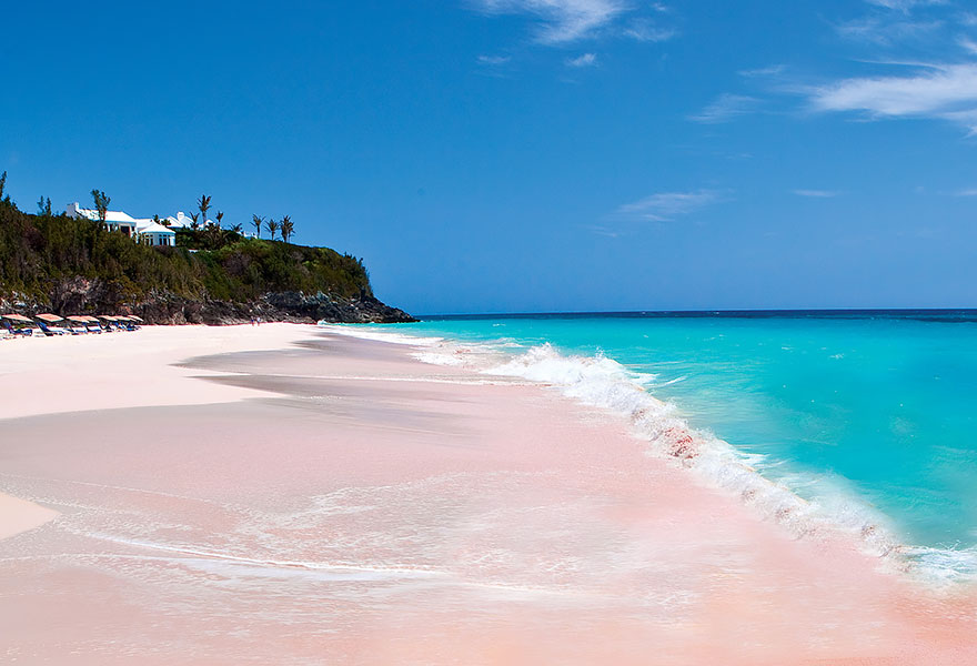 Розовая полоска песка на Багамах