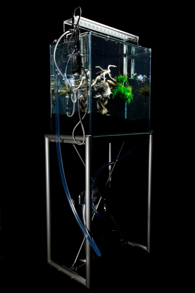 high-tech underwater bonsai-01