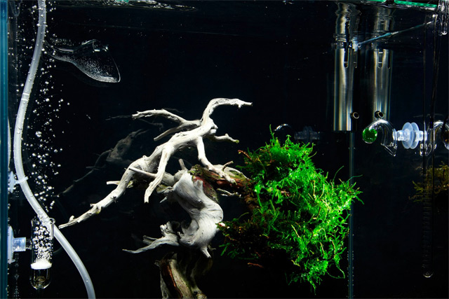 high-tech underwater bonsai-02