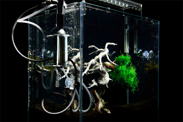 high-tech underwater bonsai-04