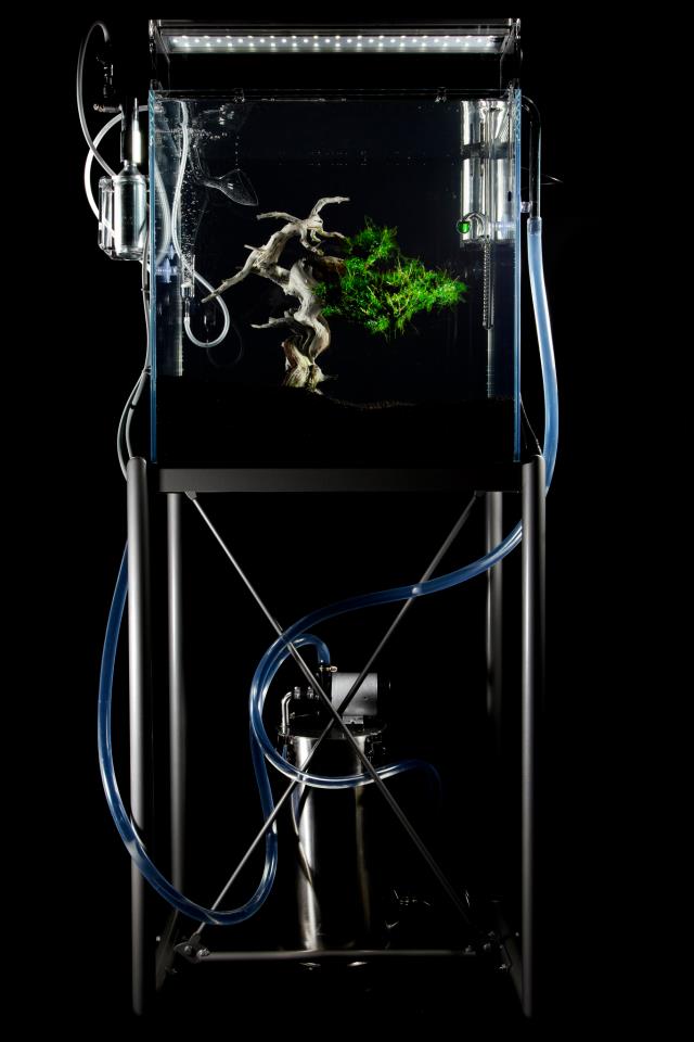 high-tech underwater bonsai-05