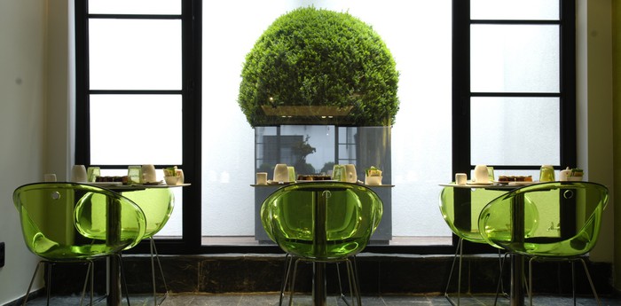 Современный дизайн интерьера в зеленых цветовых гаммах