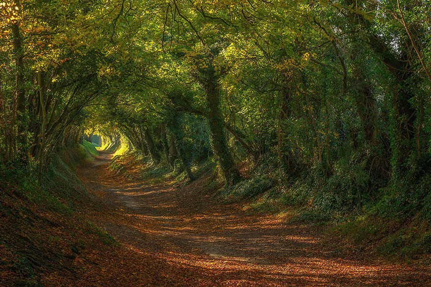 tunnels of branch-22