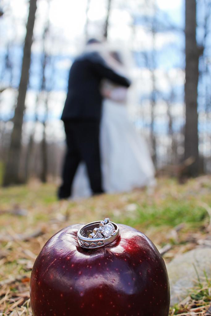 snow-white-inspired-wedding