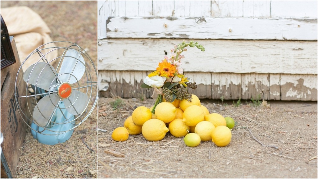vintage-chic-wedding-theme-in-citrus-14