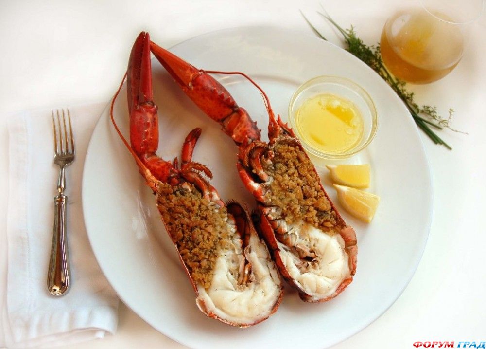 lobster-01