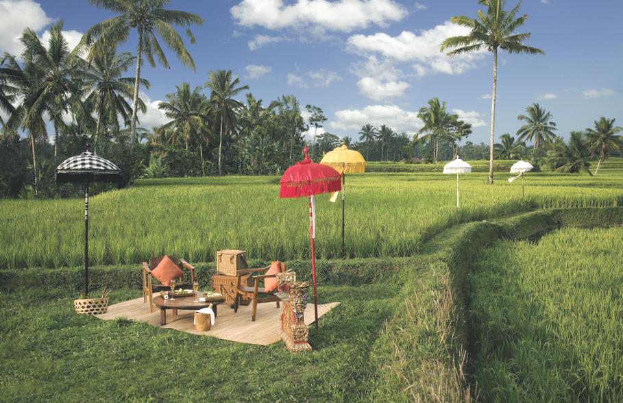 ubud-hanging-gardens-bali