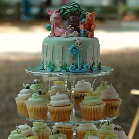 winnie-the-pooh-cake-and-cupcakes-35