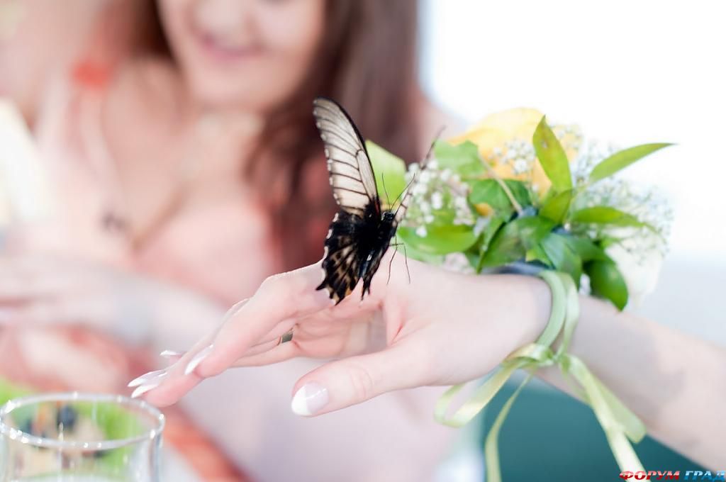 butterfly-wedding-01