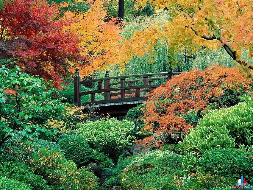 http://gallery.forum-grad.ru/files/1/8/7/7/japangarden-132.jpg