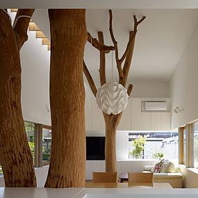house-integrating-trees-11