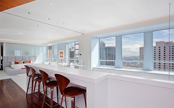 stylish-san-francisco-penthouse-003