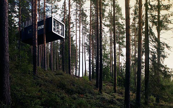 Дом на дереве: современный отель Treehouse