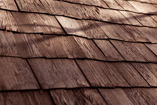Деревянное покрытие дома отеля Treehouse