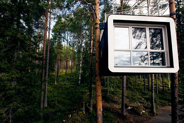 Панорамные окна дома на дереве отеля Treehouse