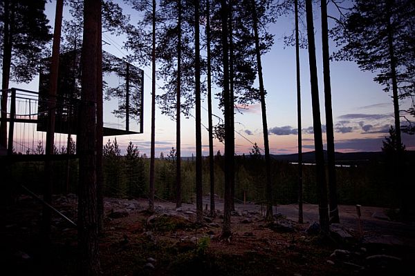 Дом на дереве: современный отель Treehouse