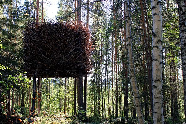 Дом - «Гнездо» современного отеля Treehouse