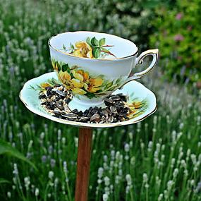 teacup-bird feeder-12