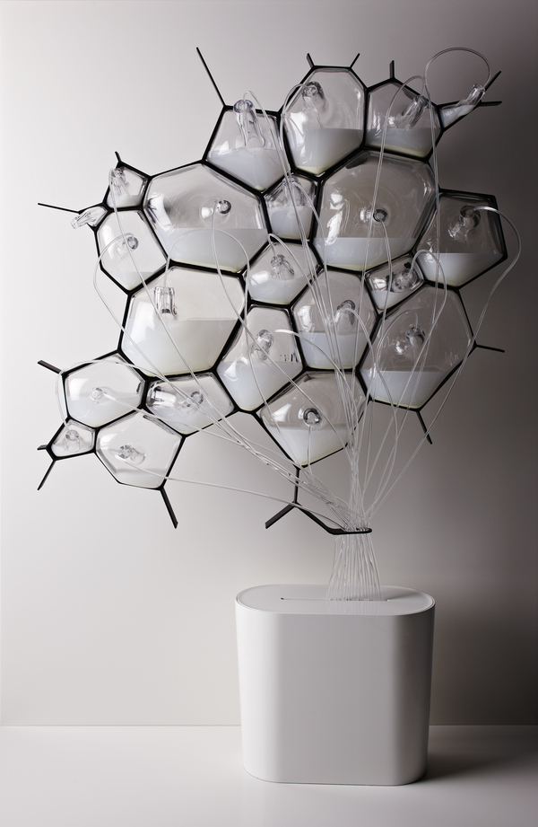 the-microbial-home-002