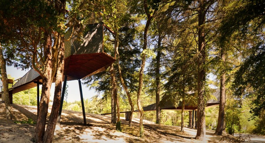 Деревянный коттедж в форме змеи на курорте Португалии