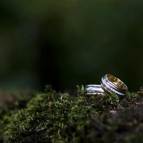 wedding-ring-237