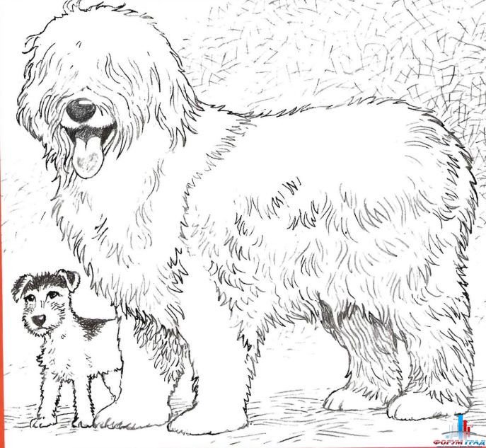 Как нарисовать собаку с щенками карандашом поэтапно Как нарисовать собаку с щенками карандашом поэтапно
