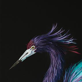 paper-birds-from-diana-beltran-herrera