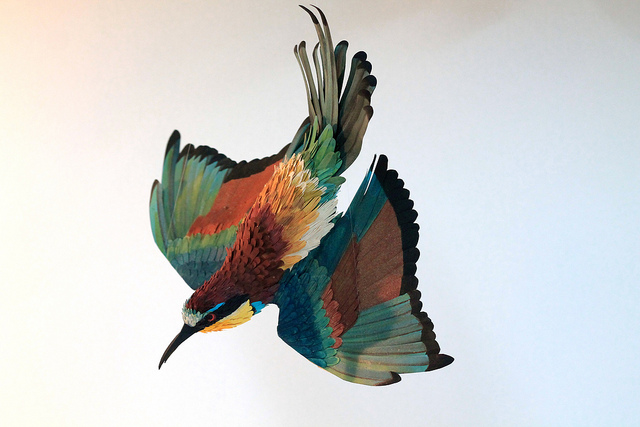 Бумажные птицы художницы Дианы Эррера